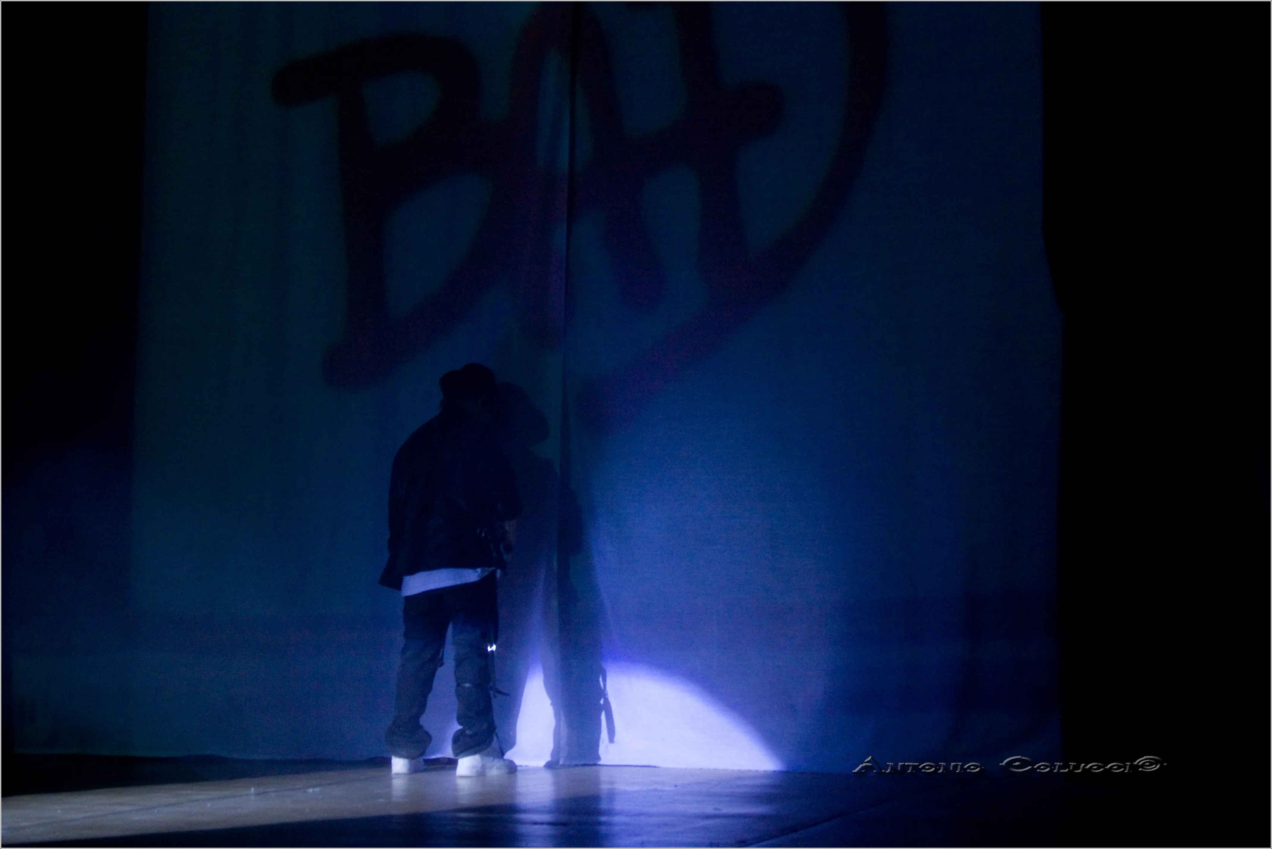 Immagine 1